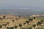 036 Bardenas reales
